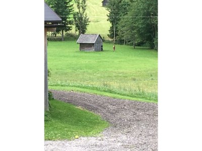 Holiday apartment Bauernhof König/ Loser - Environment photo 31