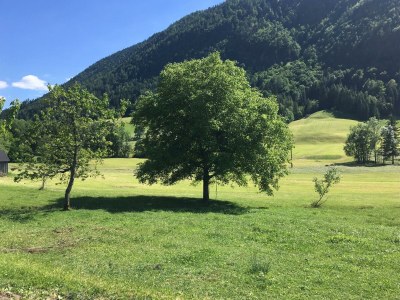 Holiday apartment Bauernhof König/ Loser - Environment photo 32