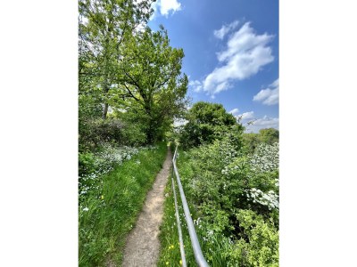 Holiday house S&R Chillhaus - Environment photo 30