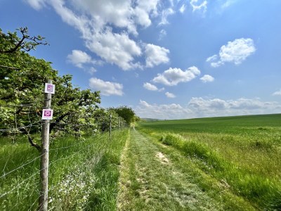 Holiday house S&R Chillhaus - Environment photo 32