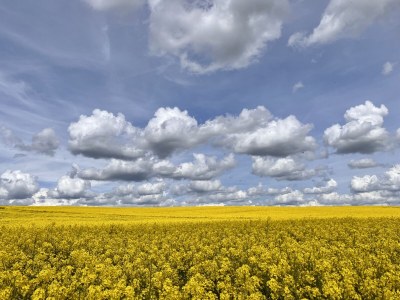 Holiday house S&R Chillhaus - Environment photo 34