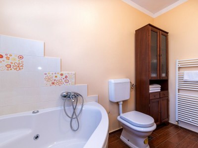 Villa Alvona near Labin - Features photo 5