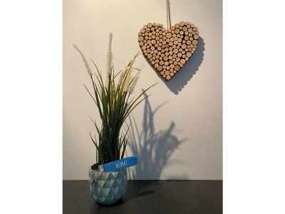 Holiday apartment No title - Features photo 5