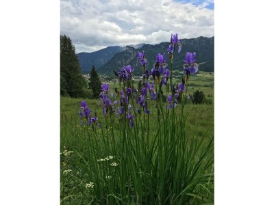 Holiday apartment No title - Environment photo 24