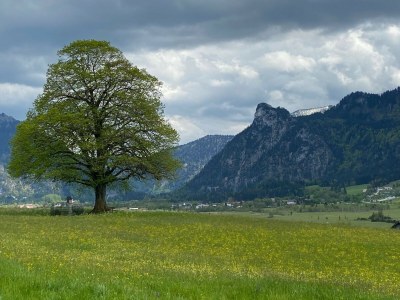 Holiday apartment No title - Environment photo 27