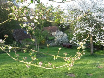 Holiday house Les Fouines - 16th century Cider Farm Cottage - Environment photo 15