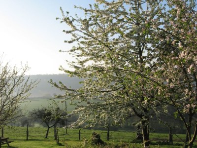Holiday house Les Fouines - 16th century Cider Farm Cottage - Environment photo 17
