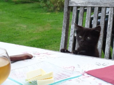 Holiday house Les Fouines - 16th century Cider Farm Cottage - Environment photo 22