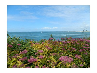 Holiday house F1250 Saint-Gildas-ls - Environment photo 11