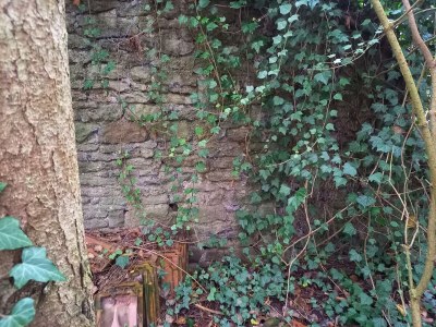 Holiday house Tinyhouse Pfalz - Outdoor photo 17