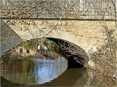 Holiday house Tinyhouse Pfalz - Environment photo 31