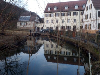 Holiday house Tinyhouse Pfalz - Environment photo 33