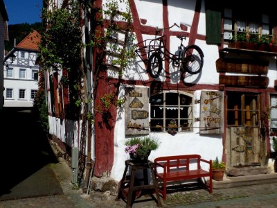 Holiday house Tinyhouse Pfalz - Environment photo 36