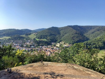 Holiday house Tinyhouse Pfalz - Environment photo 37