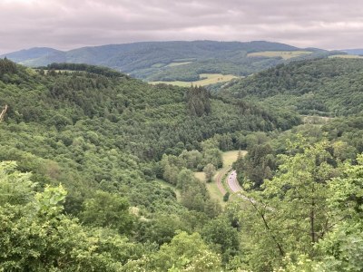 Holiday house Tinyhouse Pfalz - Environment photo 40