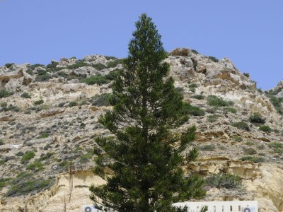 Guestroom Vintage Studio - Outdoor photo 6