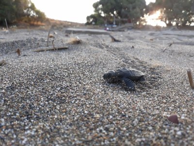 Guestroom Vintage Studio - Environment photo 21