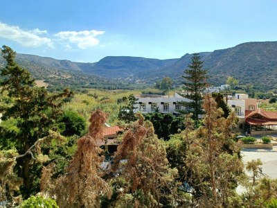 Holiday apartment Xenophon for 3 - Outdoor photo 6