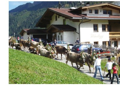 Apartment Ferienwohnung Dorfblick - Outdoor photo 9