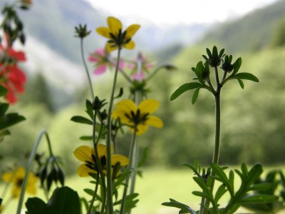 Apartment FEWO 3 mit 94 m² 4-7 Personen - Outdoor photo 5