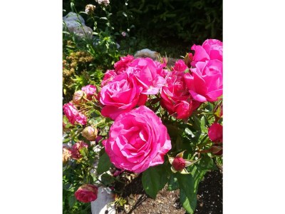 Apartment Ferienwohnung - Outdoor photo 11