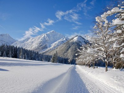 Holiday room Zimmer 101 - Outdoor photo 19