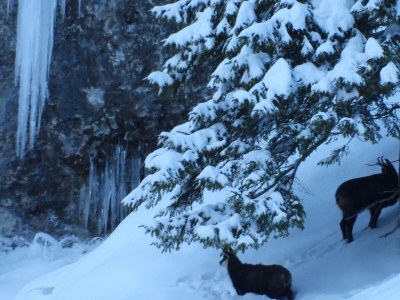 Holiday room Zimmer 101 - Outdoor photo 21