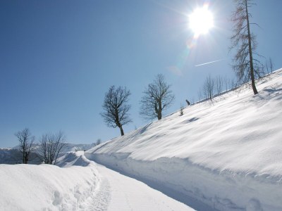 Holiday room Zimmer 101 - Outdoor photo 28