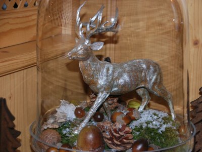 Holiday room Zimmer 101 - Outdoor photo 42