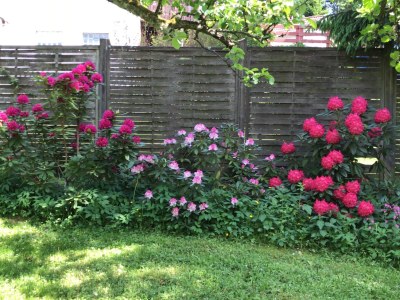 Holiday apartment Magnolia - Outdoor photo 9