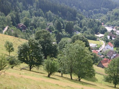 Holiday apartment Magnolia - Outdoor photo 10