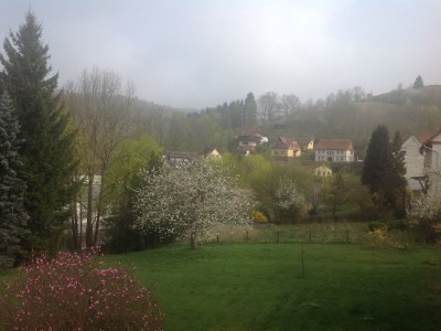 Holiday apartment Magnolia - Outdoor photo 13