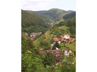 Holiday apartment Magnolia - Environment photo 23