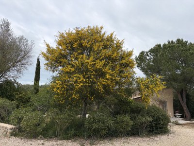 Holiday house Casita Christina - Outdoor photo 3