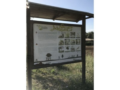 Holiday house Casita Christina - Environment photo 21