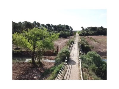 Holiday house Casita Christina - Environment photo 23