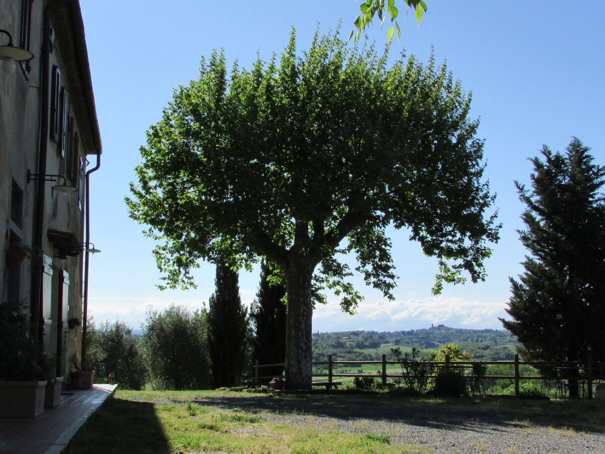 Holiday apartment "Platane" im Bio-Weingut - Outdoor photo 2