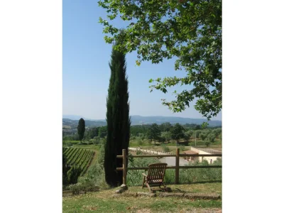 Holiday apartment "Platane" im Bio-Weingut in Ponsacco - Holiday apartment