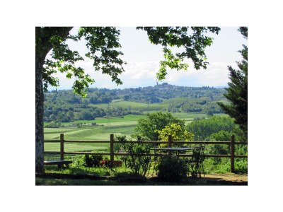 Holiday apartment "Platane" im Bio-Weingut - Outdoor photo 3