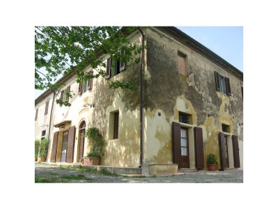 Holiday apartment "Platane" im Bio-Weingut - Outdoor photo 6