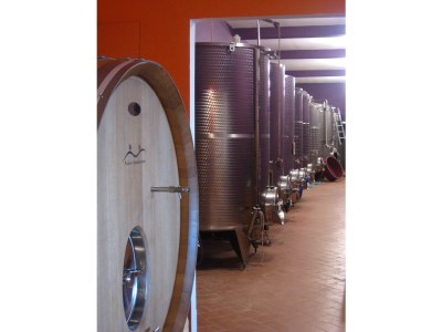 Holiday apartment "Platane" im Bio-Weingut - Environment photo 14