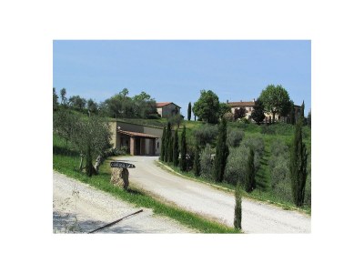 Holiday apartment "Platane" im Bio-Weingut - Environment photo 16