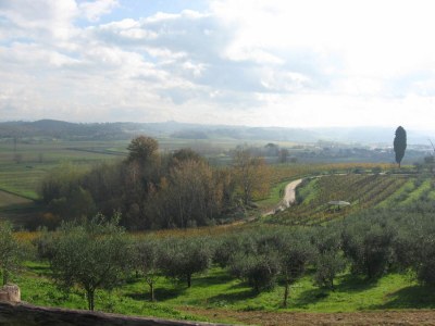 Holiday apartment "Platane" im Bio-Weingut - Environment photo 17