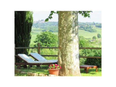 Holiday apartment "Platane" im Bio-Weingut - Environment photo 18