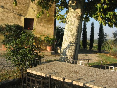 Holiday apartment "Platane" im Bio-Weingut - Environment photo 19