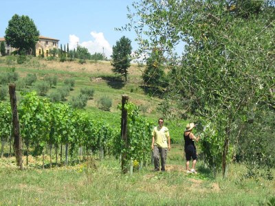 Holiday apartment "Platane" im Bio-Weingut - Environment photo 21
