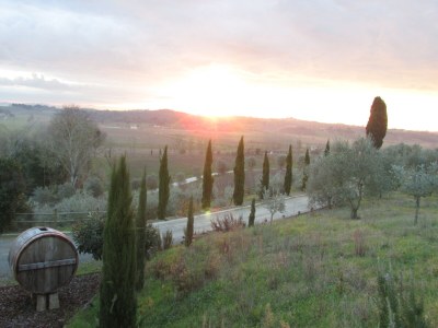 Holiday apartment "Platane" im Bio-Weingut - Environment photo 22