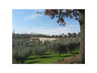 Holiday apartment "Platane" im Bio-Weingut - Environment photo 23