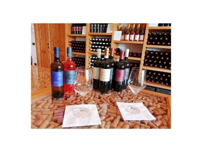 Holiday apartment "Platane" im Bio-Weingut - Environment photo 27