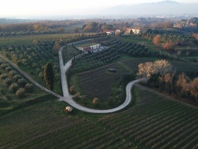 Holiday apartment "Platane" im Bio-Weingut - Environment photo 28